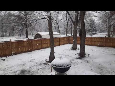 First  snow of Todd.
