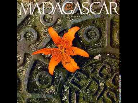 Madagascar - This Is When It Counts