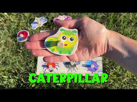 Learn Bug and Insect names | Educational Videos for Toddlers