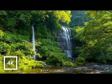 Relaxing Taro-Jiro Waterfall & Stream Sounds, Japan | 4K Nature Ambience for Sleep & Relaxation
