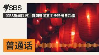 【SBS新闻快报】特朗普同意向沙特出售武器 | SBS Mandarin - SBS 普通话电台