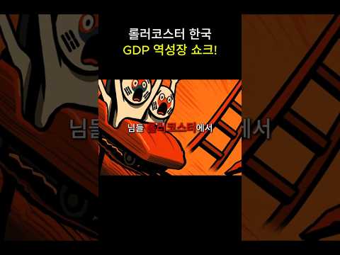 롤러코스터 한국 GDP 역성장 쇼크!