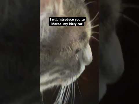 Mateo
