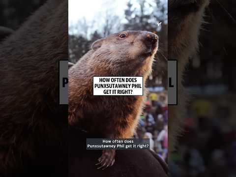 How much does Punxsutawney Phil get it wrong?