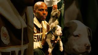 Dogs For Life 💜🐾💜 #earthangel #dmx #dmxxmusic #liveinhappiness #pitbull