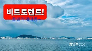 비트토렌트! 돌발악재대응~