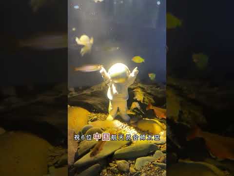 历史性时刻！中国航天员首次太空#6位中国航天员会师太空 为中国航天骄傲，点赞#太空会师