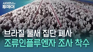 브라질 동물원 물새들도 떼죽음..."양계장 조류인플루엔자 관련 조사" / YTN 사이언스