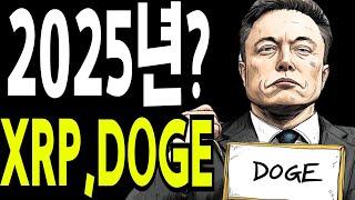 비트코인 도지코인 리플코인  2025년 XRP DOGE 🔥