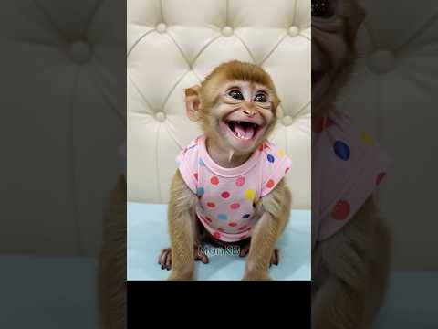 Smiling like a baby monkey makes me happy 😃