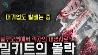 '차라리 외식을 하겠다' 블루오션에서 적자의 대명사가 되어버린 '밀키트의 몰락'