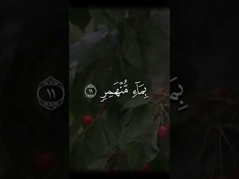 Masha Allah 💙💙
