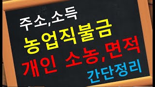 농업 농지 직불금 면적 소농 신청 조건 자격