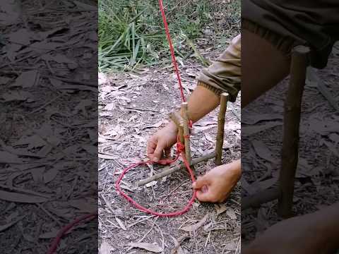 trap #bushcraft #trap #survival