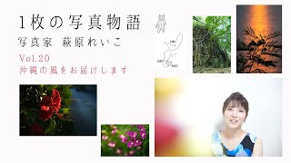 １枚の写真物語～萩原れいこ～Vol.20　沖縄の風をお届けします～