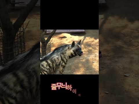 대전오월드에 있었던 동물