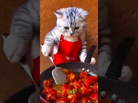 #cat cook food#yutubeshorts #trendingshorts #viralvideo 💜💛💙❤