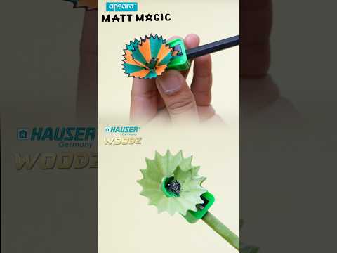 Colourful Wood 🤗 Apsara Matt Magic Vs Hauser Woodz #Shorts #SYShorts 659
