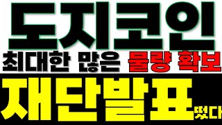 [도지] 🚨단독입수 🚨  더이상 밈코인으로 안끝나겠는데요?? 차세대 대표 코인으로 선정 할것 같습니다!! 📢" 재단에서 유출된 문서에 적혀있었다 '최종 목표가' "