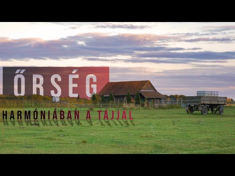 Őrség: Harmóniában a tájjal | Szalafő - Pityerszer felfedezése, avagy őszi séta az őrségi skanzenben