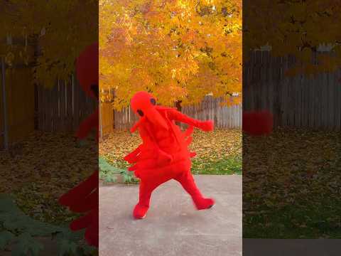 Spooky Scary Skeletons 🦞 Lobster Edition #dance #halloween #shorts