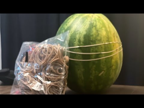 Rubber band watermelon explosion