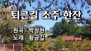 퇴근길 소주 한잔 - 황금길 Cover  (원곡 /박창현) 영상가사