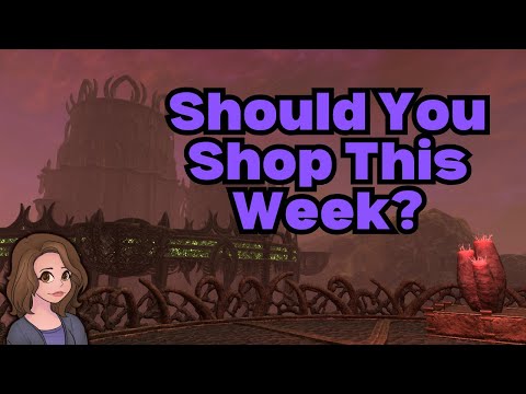 Vendor Review: Should You Buy Anything This Week?