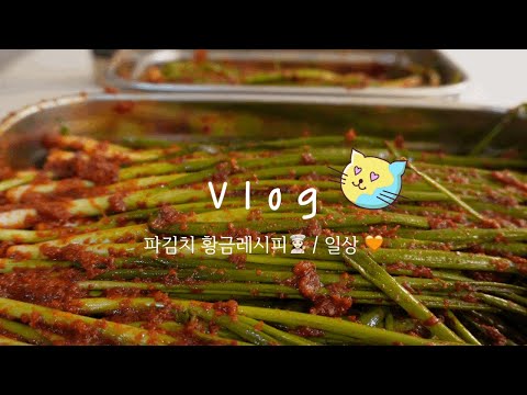 [주부 vlog] 집밥👩🏻‍🍳(전복장 덮밥, 파김치 황금레시피) | 맛집 (효자베이커리, 청기와타운 여의도점) | 코스트코 추천 와인 쁘띠쁘띠🍷