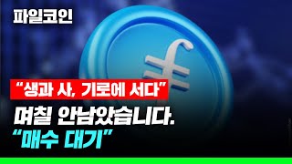 “생과 사, 기로에 서다” 파일코인 며칠 안남았습니다. “매수 대기” #파일코인전망 #파일코인호재