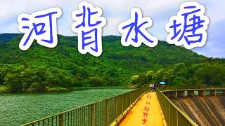 [行山路徑介紹系列EP11]行山：河背水塘