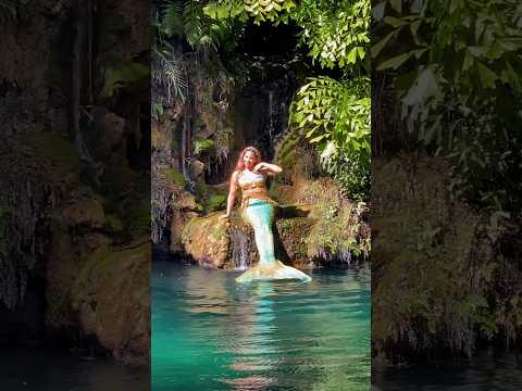 This place is a mermaid’s dream ✨ 📍Secret Gardens in Miami, FL #mermaid