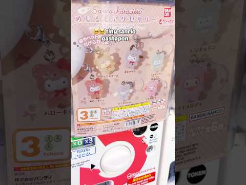 SO TINY BUT SO CUTE AHHH #sanrio #cinnamoroll #mymelody #pompompurin