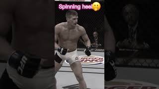 This is art🎨#shortsbyamritamam #ufc #clips #shortsclip #youtubeshorts #spinningkick