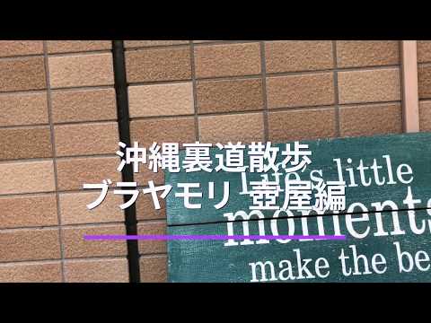 【沖縄裏道散歩　壺屋編】沖縄の裏道をぶらぶら歩くブラヤモリ！那覇市壺屋界隈を散策
