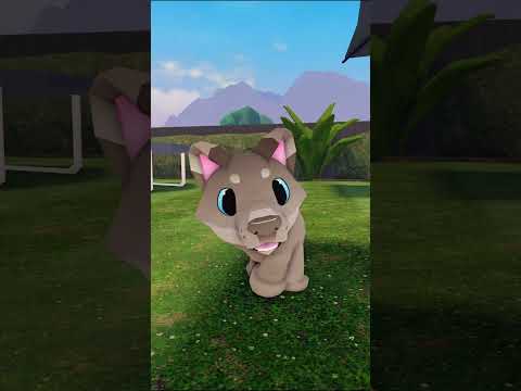 POV: Your dog has the zoomies - Funny Roblox Berry Avenue RP #roblox #funny #dog