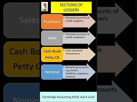 Types of Ledgers- IGCSE Accounting Revision Shot 💉