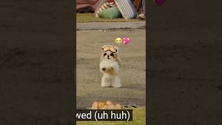 Who’s a dog person 🙋‍♀️🙋 #musicreaction #couplereacts #jhope #miguel