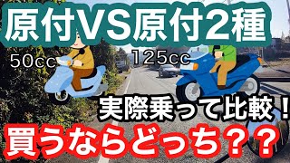 【比較】原付買う人必見！！原付と原付二種、迷ったらどっち買うべき？？