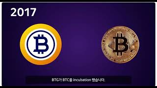 비트코인 골드(BTG) 디지털 화폐의 개혁의 시작.