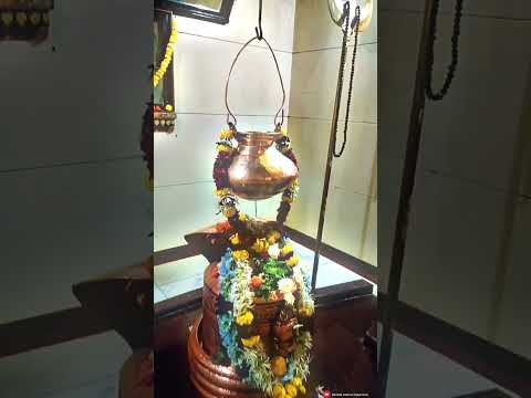 Mahadev status| har har bhole umapati mahadev | shiv shankar status | kapaleshwar mahadev mandir|