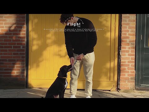 Positive New Day 🌻 Songs that make you feel alive ~ Feeling good playlist