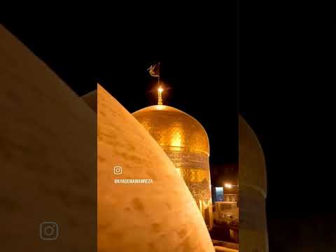 رسیدم تا حرم گویی کسی میگفت درگوشم بیا ای خسته از دنیا که من باز است آغوشم🍃🥀 #mashhad