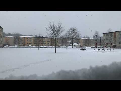 Snowy 17:31 (09-March-2023)