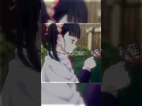 ┆ he deserves better...┆ #cute #demonslayer #anime #kimetsunoyaiba #genyashinazugawa #knyedit #kny