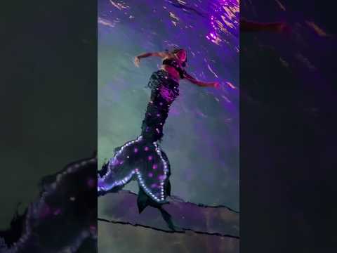 Swimming in lights this holiday season ✨For bookings, link in bio or visit mermaidelle.com #mermaid