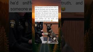 K9 Officer Sworn In to Testify in Courtroom Drama