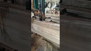 #sawmill #woodworking #vidioshort #videoshort #video #furniture #fypyoutube #kayujati #subscribe