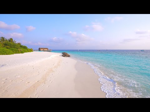 🏝 Beach Screensaver From a Tropical Remote Island Paradise