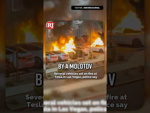 As Tesla Are Set Ablaze, Tim Walz Cheers Its Stock Crashing